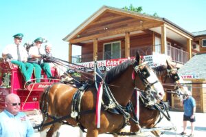Photo of the Clydesdales at Put-in-Bay