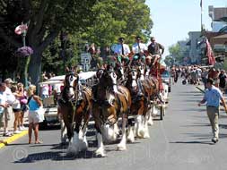 Put-in-Bay Golf Car Rentals along parade route with Clydesdales
